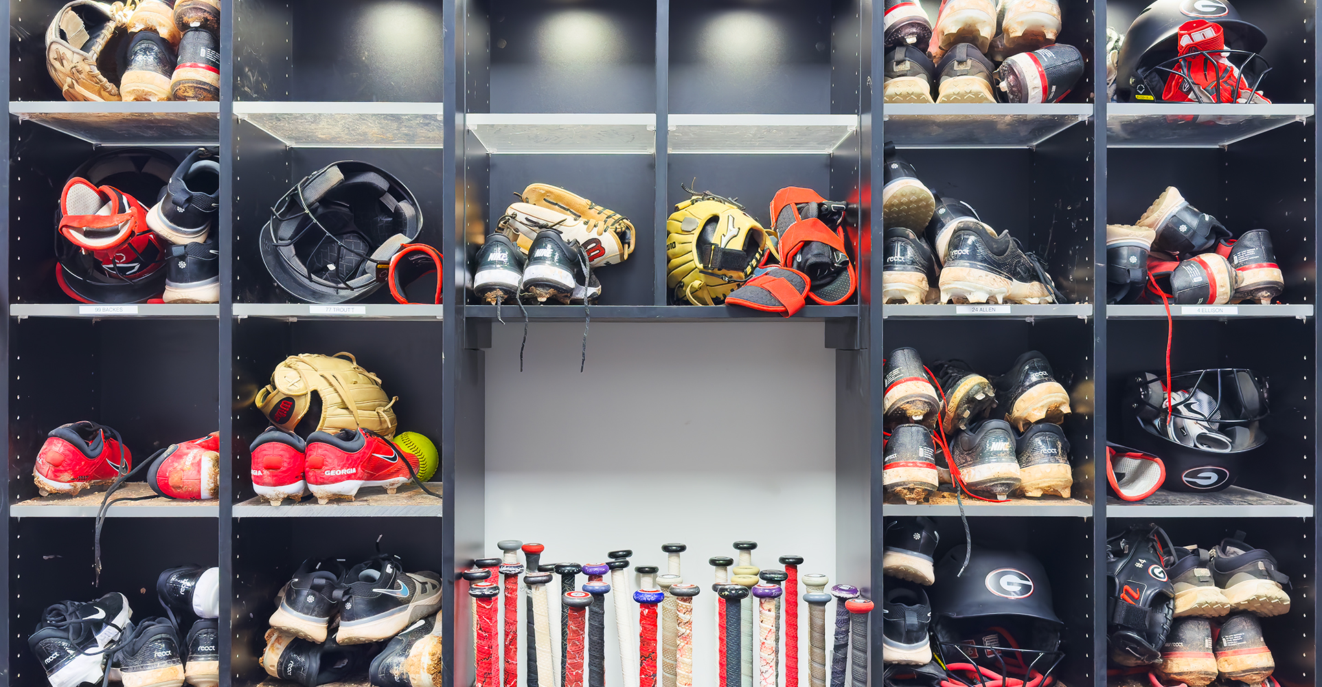 University-of-Georgia-Softball-Storage-Case-Study-Header